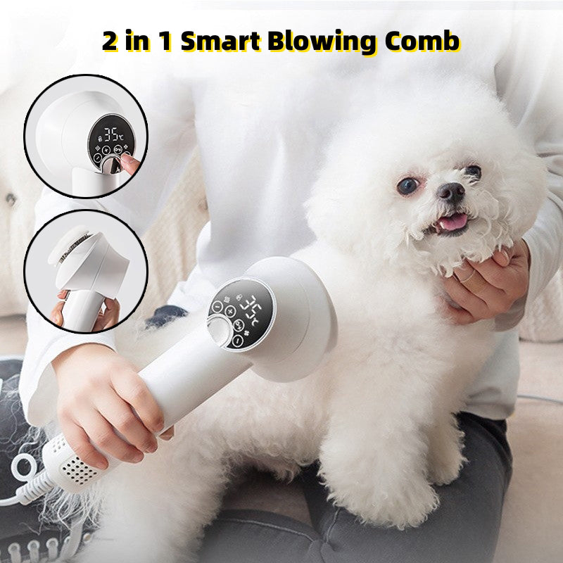 Sèche-cheveux intelligent pour animaux de compagnie (chiens, golden retrievers, chats) - Toilettage et coiffure - Séchage et brossage silencieux et sans danger pour les animaux - Produits de nettoyage pour animaux